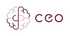 CEO Academia de Repaso