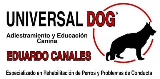 Logo de Universal Dog