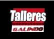 Talleres Galindo Chapa y Pintura
