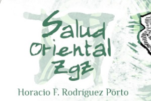 Uno de los mejores centros de acupuntura en Zaragoza es Salud Oriental ZGZ, logo